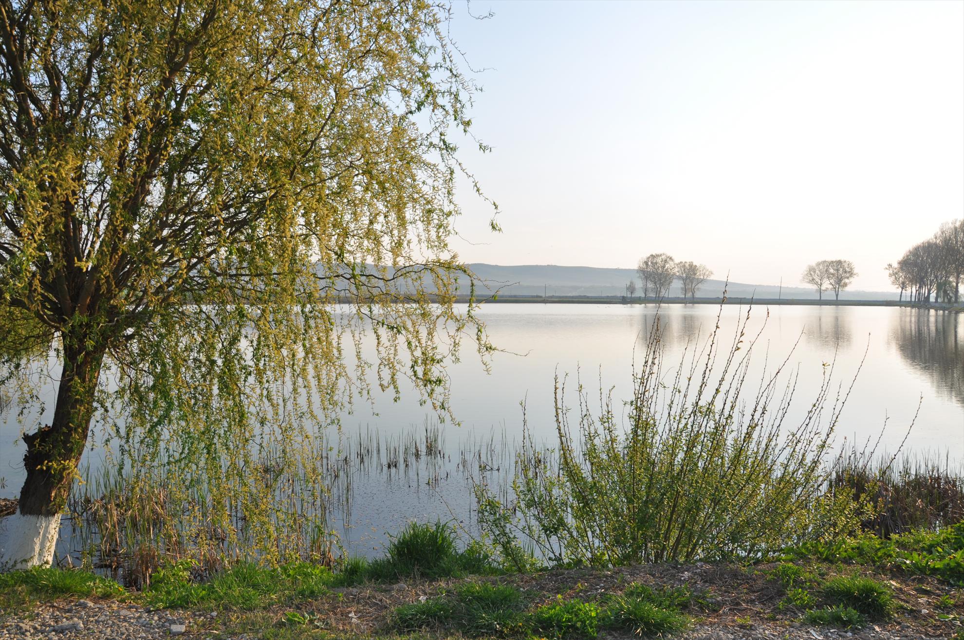 GALERIE FOTO TROFEUL USAMV - PLEASA - dsc0465.JPG